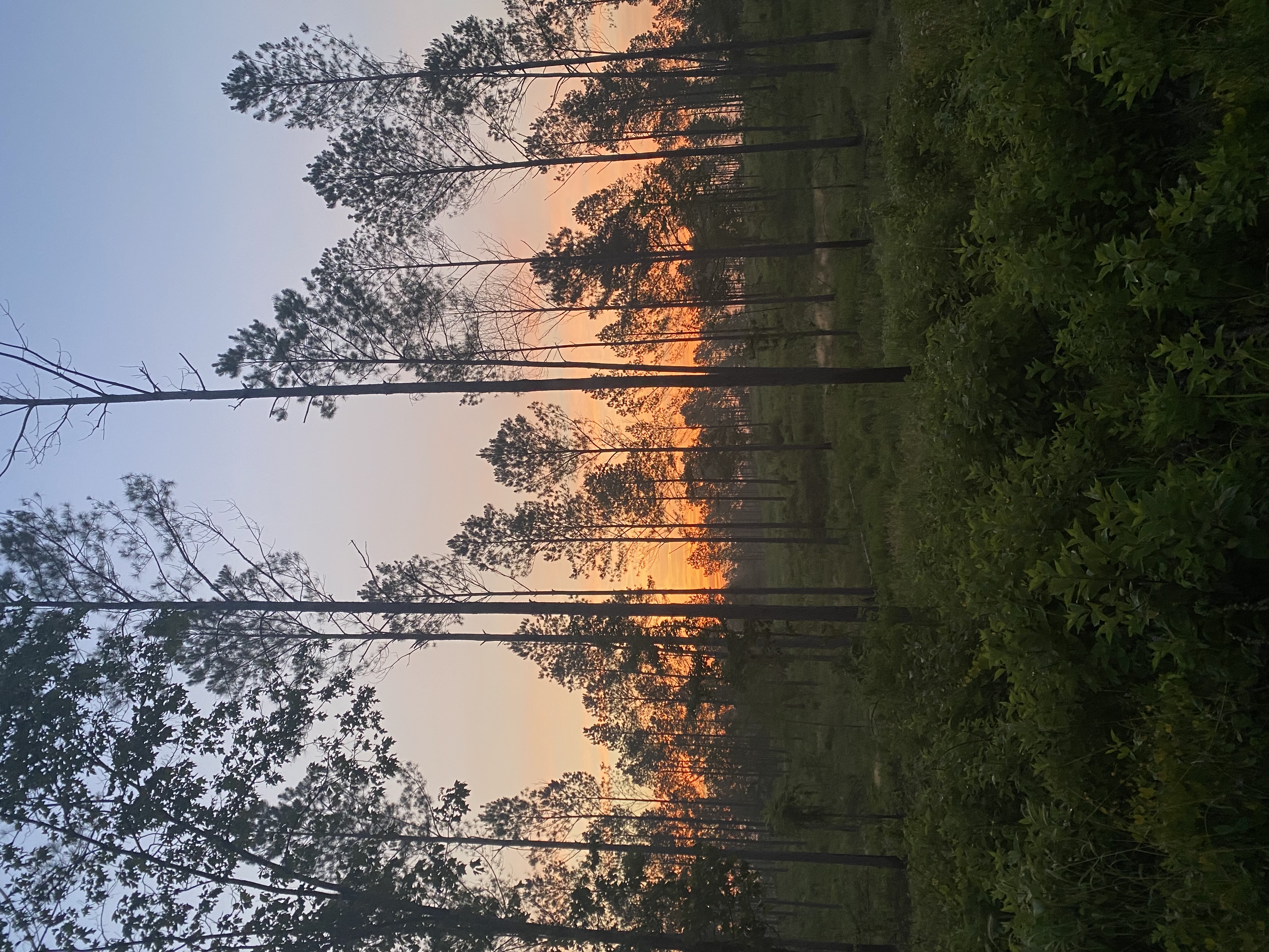 Image credit: Caleb Roberts